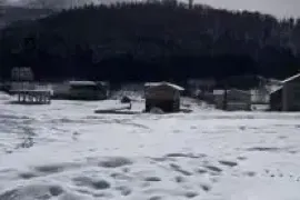 Продается Земля, Сельскохозяйственные, Бакуриани