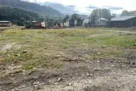 Продается Земля, Сельскохозяйственные, Бакуриани