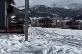 Продается Земля, Сельскохозяйственные, Бакуриани