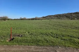 იყიდება მიწის ნაკვეთი, სასოფლო - სამეურნეო, ნორიო 