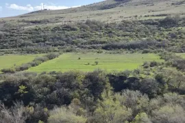 იყიდება მიწის ნაკვეთი, სასოფლო - სამეურნეო, ნორიო 