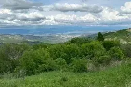 Продается Земля, Сельскохозяйственные, Бетания