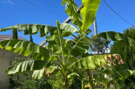 ქირავდება სახლი, 4 ოთახიანი, თბილისი, ივერთუბანი