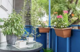 ქირავდება ბინა, 6 ოთახიანი, ძველი აშენებული, თბილისი, ჩუღურეთი