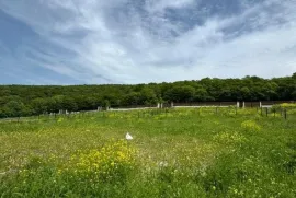 Продается Земля, Сельскохозяйственные, Saguramo