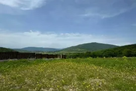 Продается Земля, Сельскохозяйственные, Saguramo