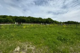 Продается Земля, Сельскохозяйственные, Saguramo