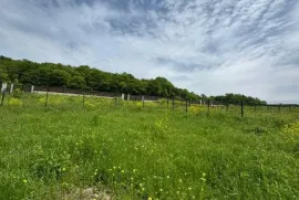 Продается Земля, Сельскохозяйственные, Saguramo