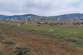 იყიდება მიწის ნაკვეთი, სასოფლო - სამეურნეო, წავკისი