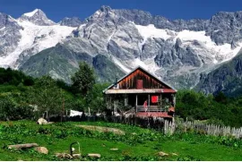 Продается Земля, Сельскохозяйственные, Гона