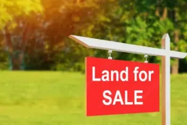Land For Sale, Agricultural