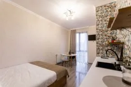 Daily Apartment Rent, 1 Room, New building, Kutaisi, Aghmashenebeli Settlement