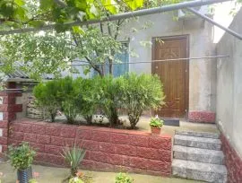 House For Rent, Isani