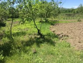 Land For Sale, Bitsmendi