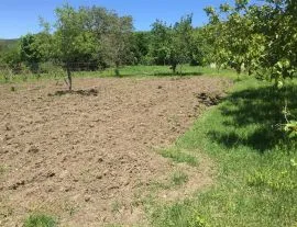 Land For Sale, Bitsmendi