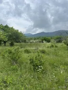 Land For Sale, Saguramo