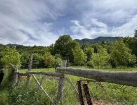 Land For Sale, Dviri 