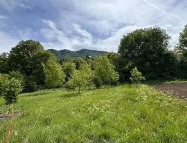 Land For Sale, Dviri 