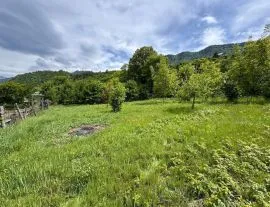 Land For Sale, Dviri 