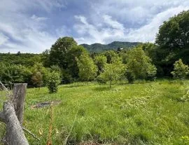 Land For Sale, Dviri 