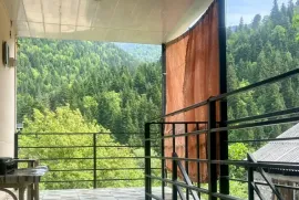 ქირავდება ბინა დღიურად, 00 ოთახიანი, ძველი აშენებული, ბორჯომი, წაღვერი