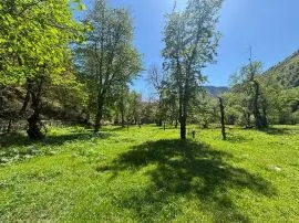 იყიდება მიწის ნაკვეთი, არა სასოფლო - სამეურნეო, მესტია
