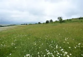 იყიდება მიწის ნაკვეთი, ორბეთი 