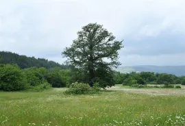 იყიდება მიწის ნაკვეთი, ორბეთი 