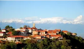 For Sale , Hotel, Signagi