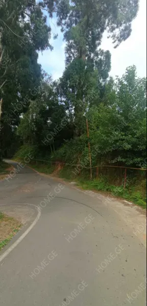 იყიდება მიწის ნაკვეთი, არა სასოფლო - სამეურნეო, ციხისძირი