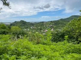 Land For Sale, Agricultural, Sharabidzeebi