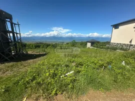 Land For Sale, Agricultural, Telavi