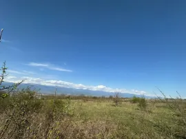იყიდება მიწის ნაკვეთი, სასოფლო - სამეურნეო, ვარდისუბანი 