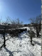 House For Sale, 5 Room, Telavi, Telavi