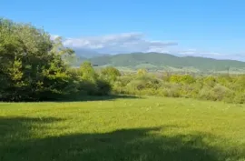 Land For Sale, Agricultural, Jervalidzeebi 