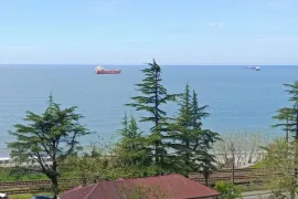 იყიდება ბინა, 1 ოთახიანი, ახალი აშენებული, ბათუმი