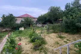 იყიდება მიწის ნაკვეთი, სასოფლო - სამეურნეო, შინდისი