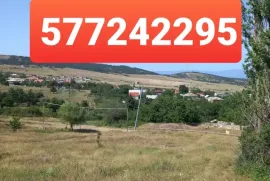 Land For Sale, Agricultural, Tsavkisi