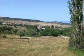 იყიდება მიწის ნაკვეთი, სასოფლო - სამეურნეო, წავკისი