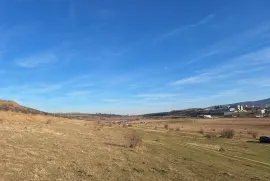Land For Sale, Non Agricultural, Lisi lake