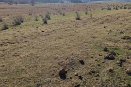 Land For Sale, Non Agricultural, Lisi lake