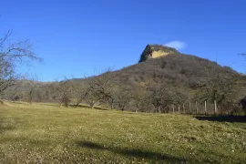 იყიდება მიწის ნაკვეთი, სასოფლო - სამეურნეო, ვერონა