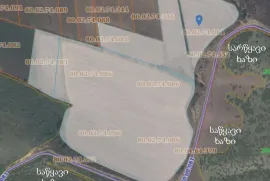 Продается Земля, Сельскохозяйственные, Chapala