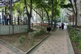 Аренда, 2 Kомнатная, Старое здание, Тбилиси, vake