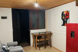 Аренда, 1 Kомнатная, Новостройка, Тбилиси, Ортачала