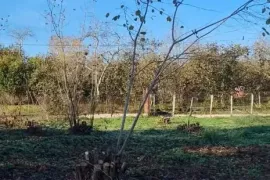 Продается Земля, Сельскохозяйственные, Аламбари