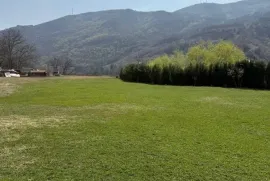 იყიდება მიწის ნაკვეთი, არა სასოფლო - სამეურნეო, წყნეთი