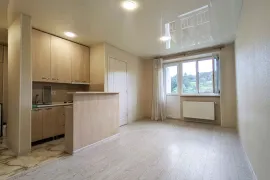 იყიდება ბინა, 2 ოთახიანი, ძველი აშენებული, თბილისი, თემქა