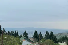 იყიდება სახლი, 10 ოთახიანი, თბილისის შემოგარენი, ოქროყანა