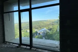 იყიდება სახლი, 10 ოთახიანი, თბილისის შემოგარენი, ოქროყანა